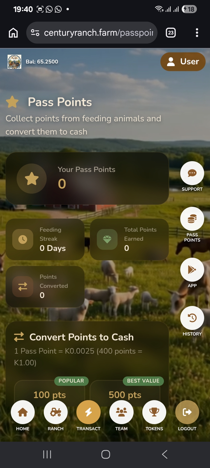 App Screenshot 3
